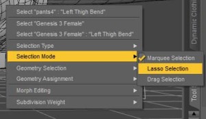 Using the marquee selection with the geometry editor in DAZ Studio